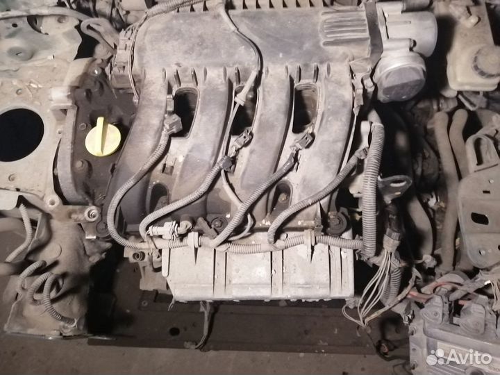 Двс на меган