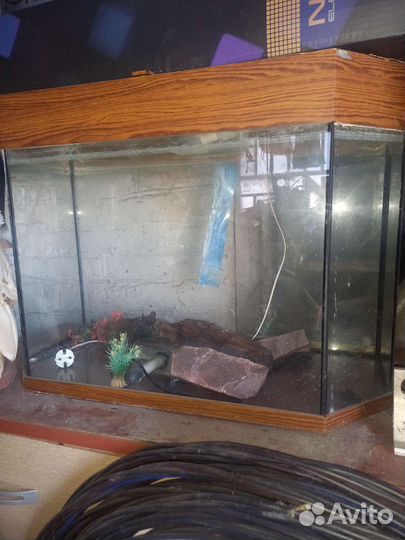 Аквариум 100л