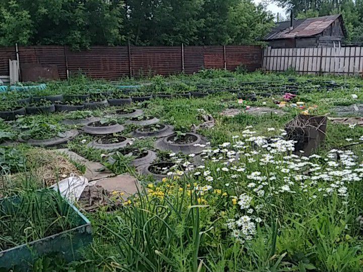 Участок 10 сот. (ИЖС)