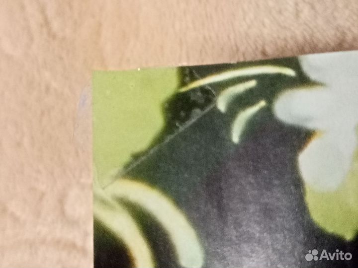 Плакаты тхт