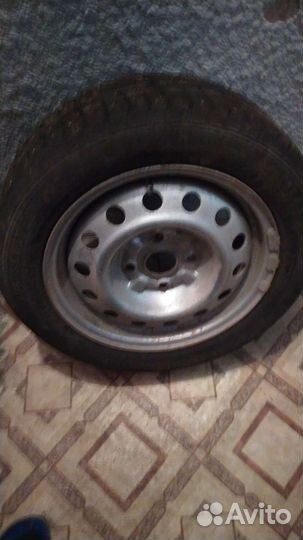 Brasa IceControl 195/55 R15