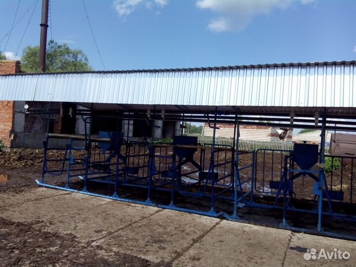 Летний Лагерь для доения крс, коров, удс