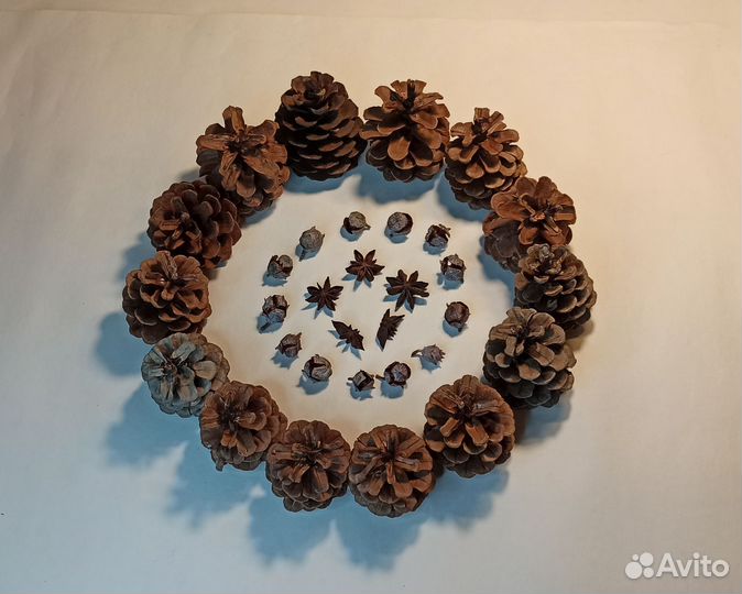 Шишки крымской сосны, кипариса,коробочки аниса