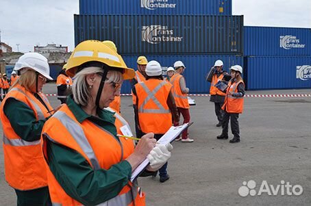 Тальман в Морской порт