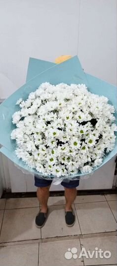 Доставка цветов сочи букеты розы пионы