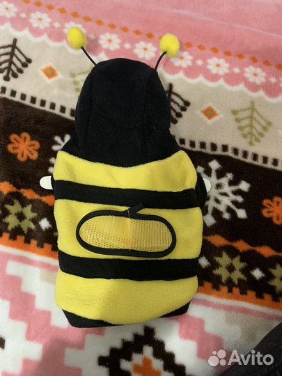 Костюм для собаки