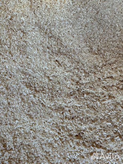 Стружка хвойных пород