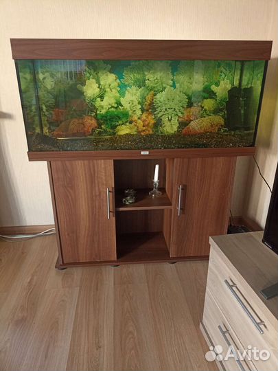 Аквариум с тумбой juwel 240