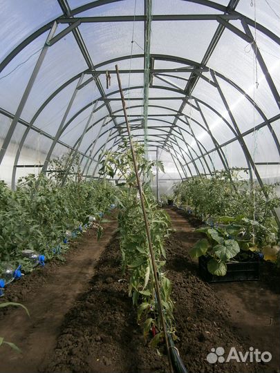 Теплица арочная бу