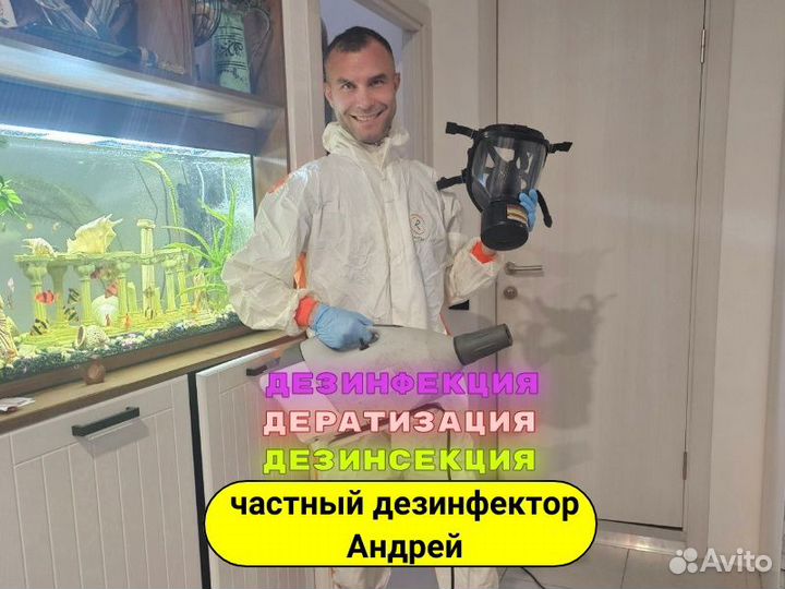 Дезинсекция