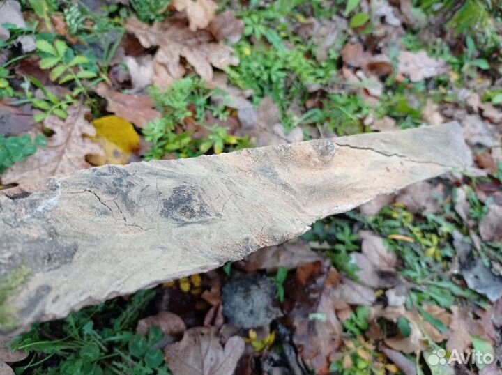 Спил продольный (массив груша) для творчества