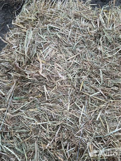 Сено в тюках