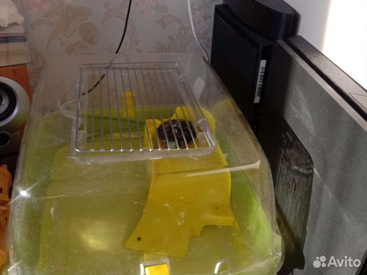 Красноухая черепаха с аквариумом и кормом