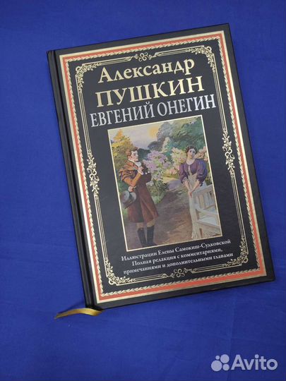 Книга «Евгений Онегин»