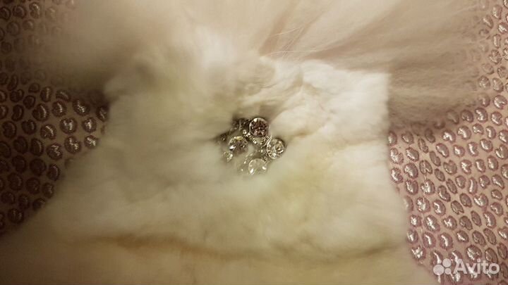 Женская шапка