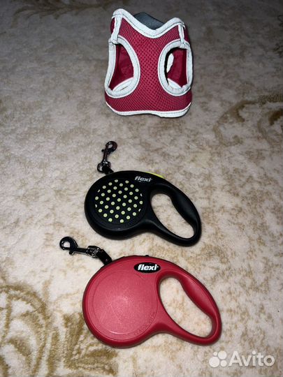 Шлейка и поводок рулетка