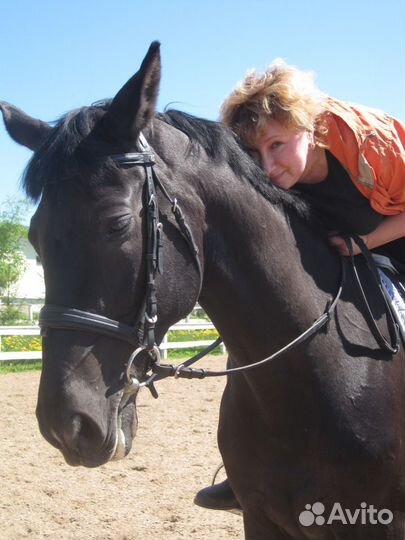 Главный бухгалтер