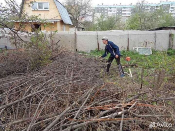 Благоустройство участка. Расчистка в Красном Селе