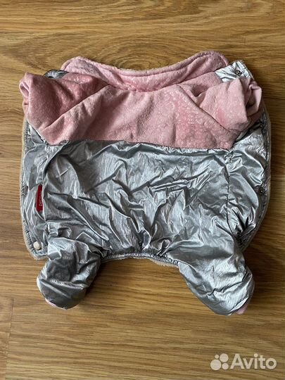 Одежда для собак