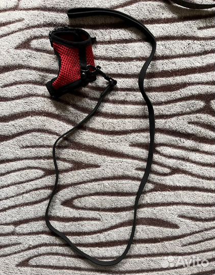 Шлейка для грызунов