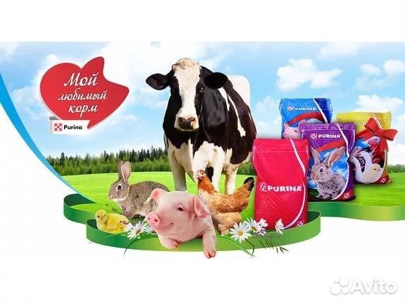 Корма Purina