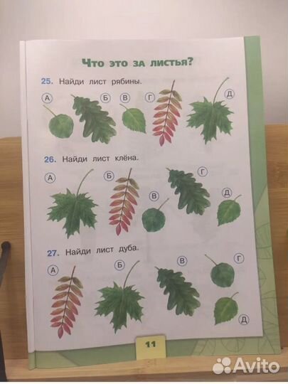 Окружающий мир тесты 1класс Плешаков А.А