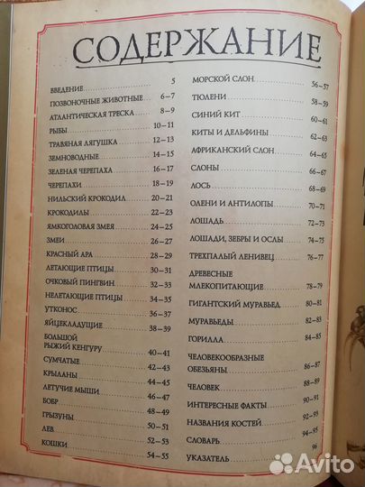 Коллекция костей. Атлас животных