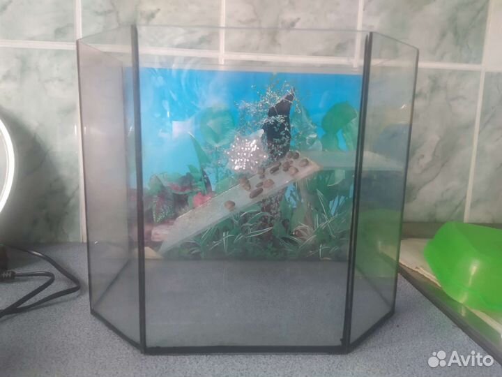 Аквариум для красноухой черепахи 15 литров