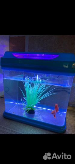 Аквариум на 2.5л
