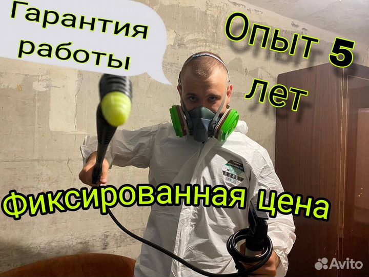 Обработка от тараканов, уничтожение клопов