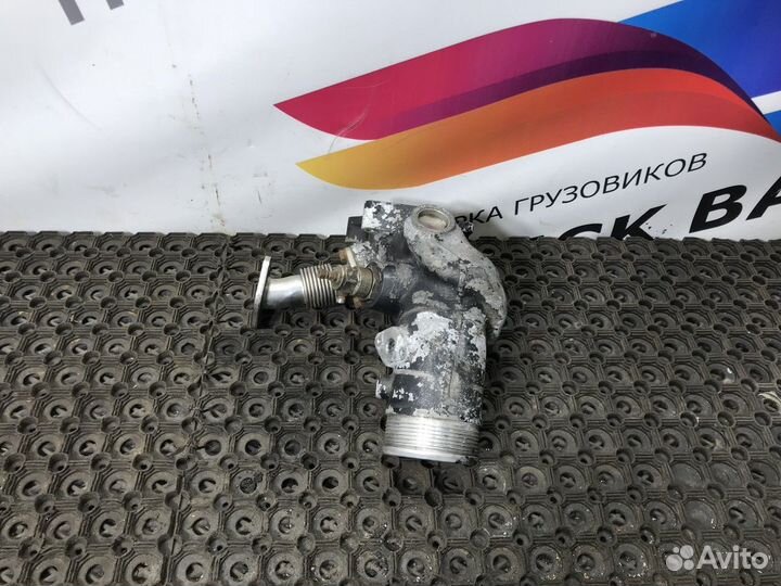 51094113645 Патрубок интеркулера Man TGA