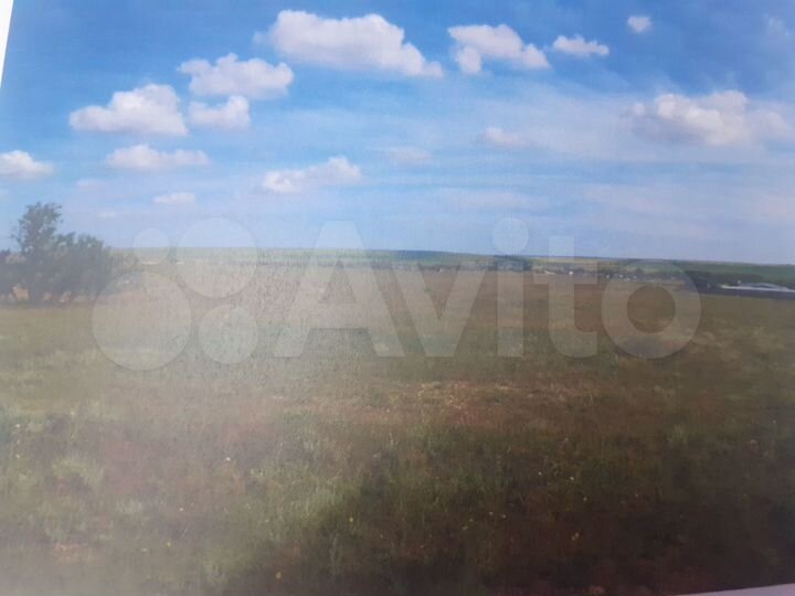 Участок 3,99 га (СНТ, ДНП)