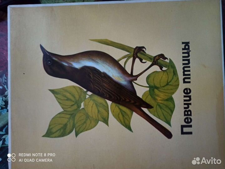 Спички Колекционые