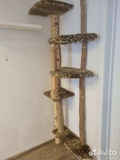 Лазалка для кошки