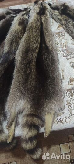 Шкуры енота