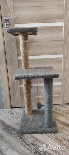 Когтеточка