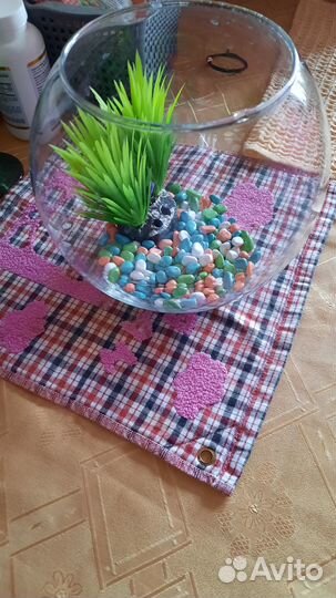 Аквариум шар