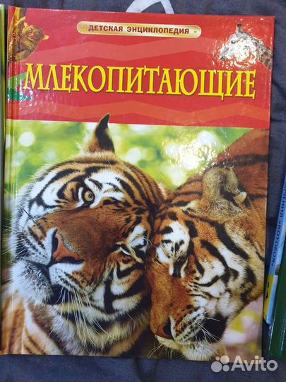 Новые книги для детей