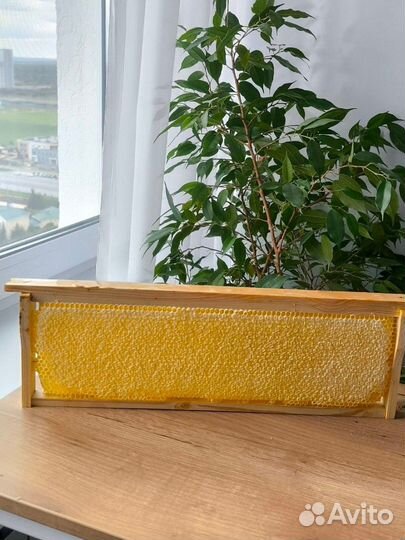 Соты с мёдом в рамке