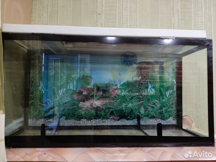 Аквариум