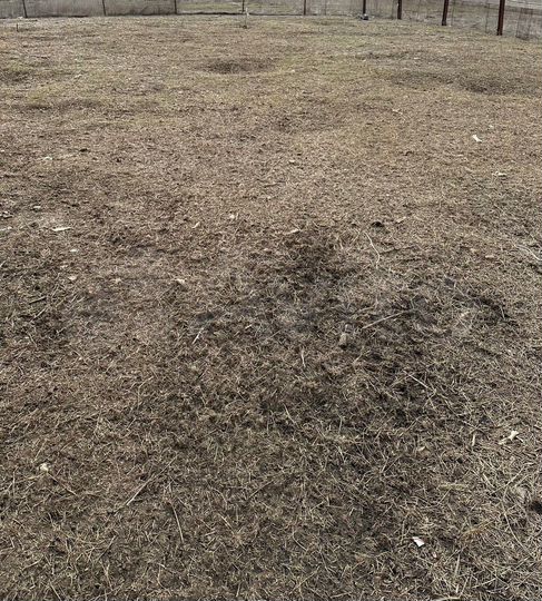 Участок 5 сот. (ИЖС)