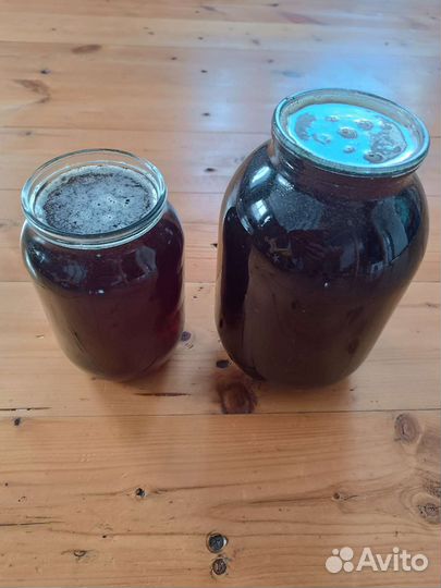 Мед гречишный 2023