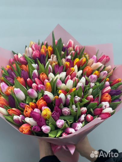 101 Роза Цветы Пионы