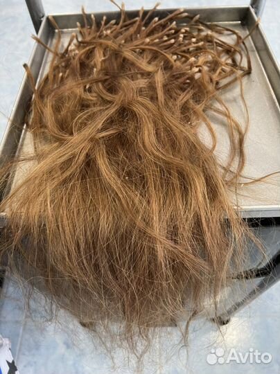 Капсулятор