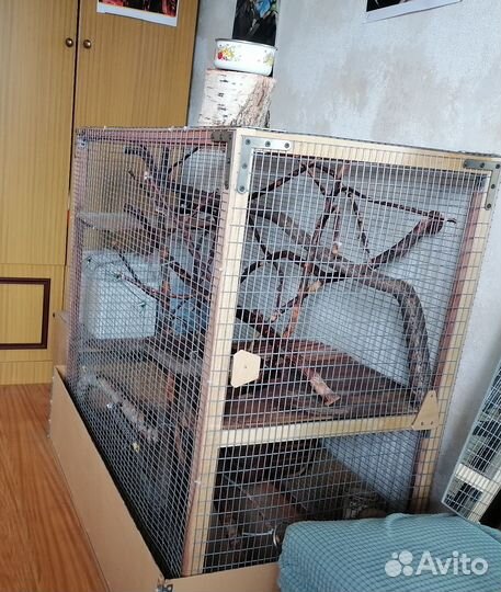 Клетка для грызунов очень большая