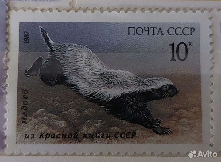 Почтовые марки