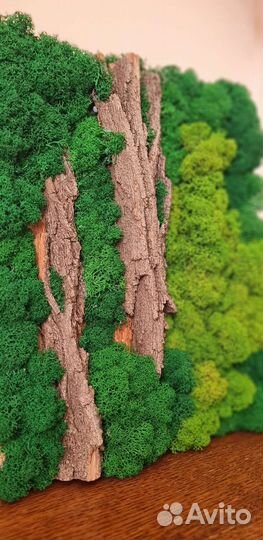 Интерьерная картина Стабилизированный Мох