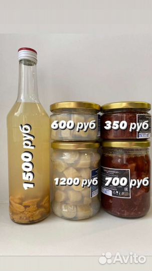 Морской Гребешок, Оленина