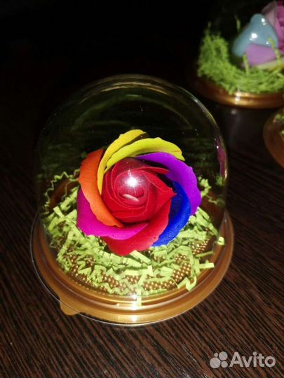 Розы в колбе