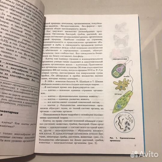 Биология 8 класс